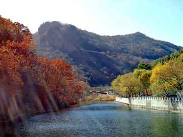 管家婆免费正版资起大全，水晶发夹